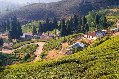 Ilam self-drive EV road trip destination, Koshi Province, Nepal